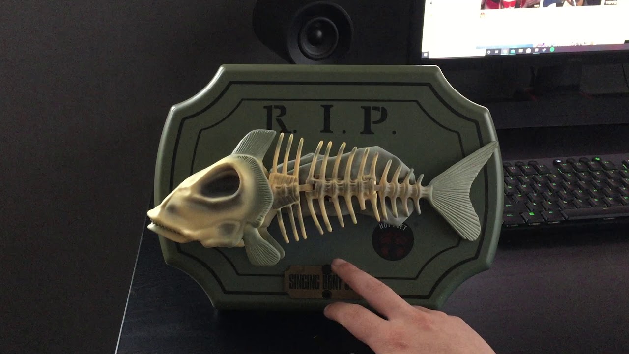 SINGING BONY SOUL (Singing Fish)