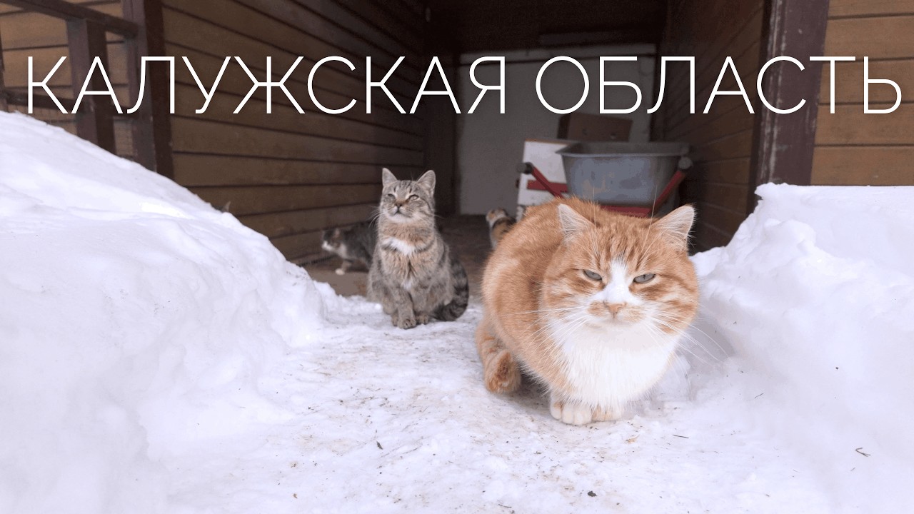 Выходные в Калужской области: база отдыха 