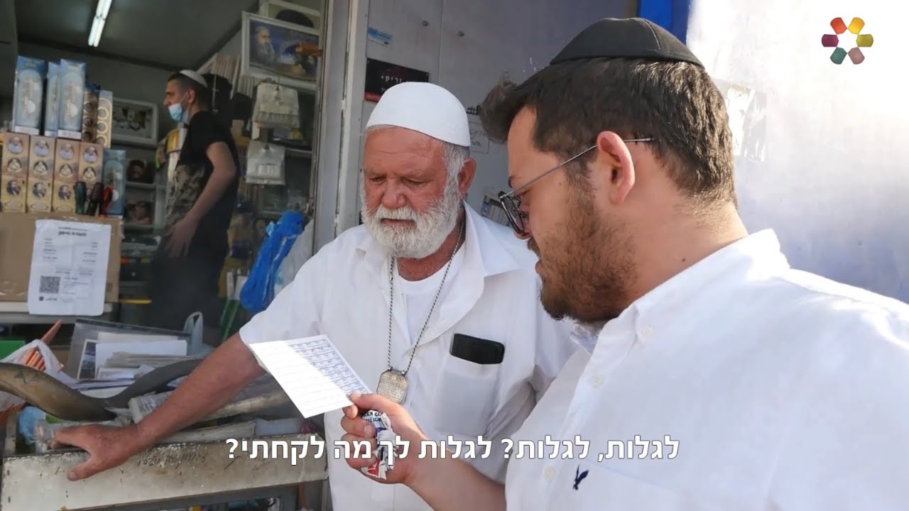 איפה אפי? ⭐ אפי סקקובסקי בהילולת רבי מאיר בעל הנס