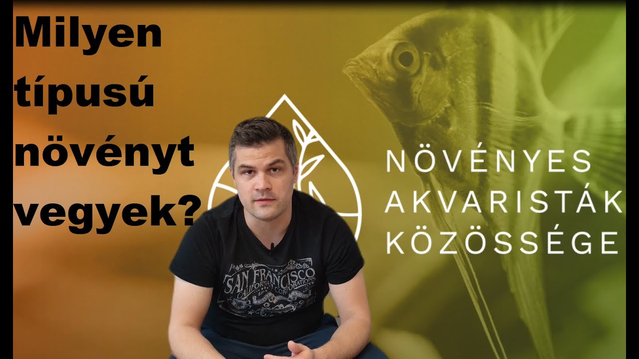 Milyen típusú növényt vegyek? (kosaras, zselés, hobbitárstól)