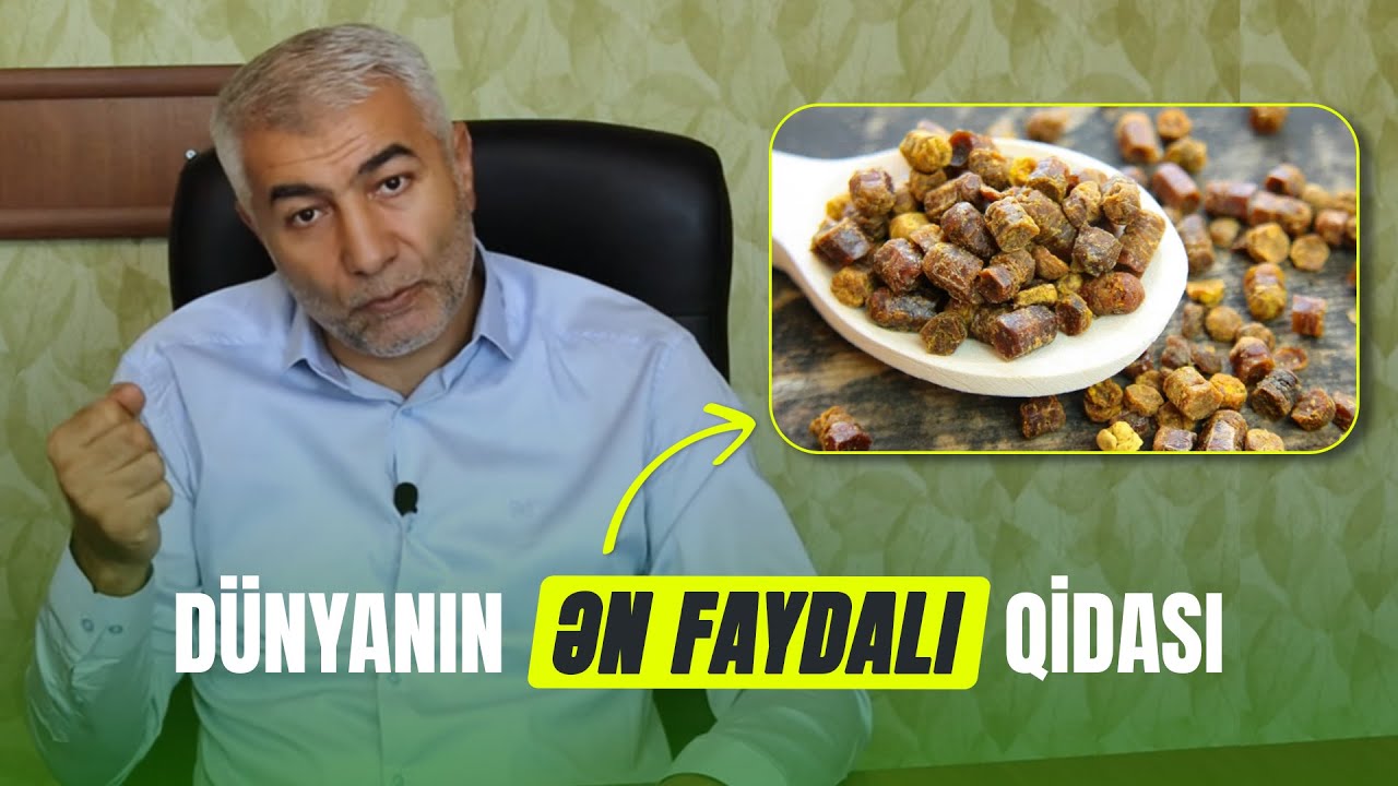 Dünyanın ən faydalı qidası - Güləmin faydaları / Perqa | Fizuli Hüseynov
