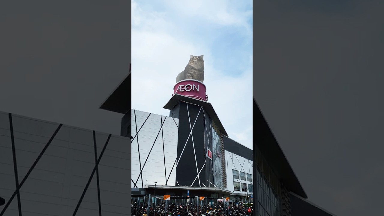 M&egrave;o U I A đ&atilde; đến AEON Mall T&acirc;n Ph&uacute;🫣#oiiaiiooiiai #uia #cat #3d #vfx #aeonmall #fyp #viral #trending