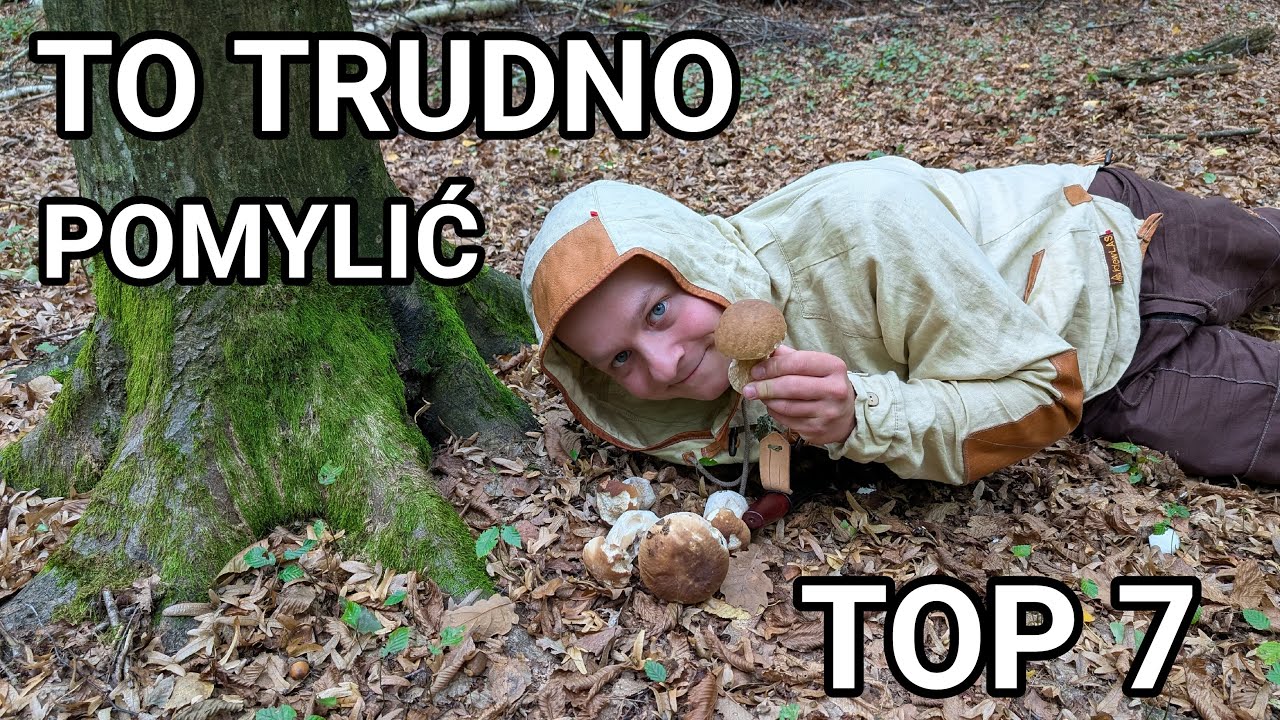 Grzyby JADALNE dla POCZĄTKUJĄCYCH  - TOP7