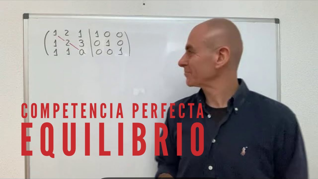 16 de noviembre de 2025