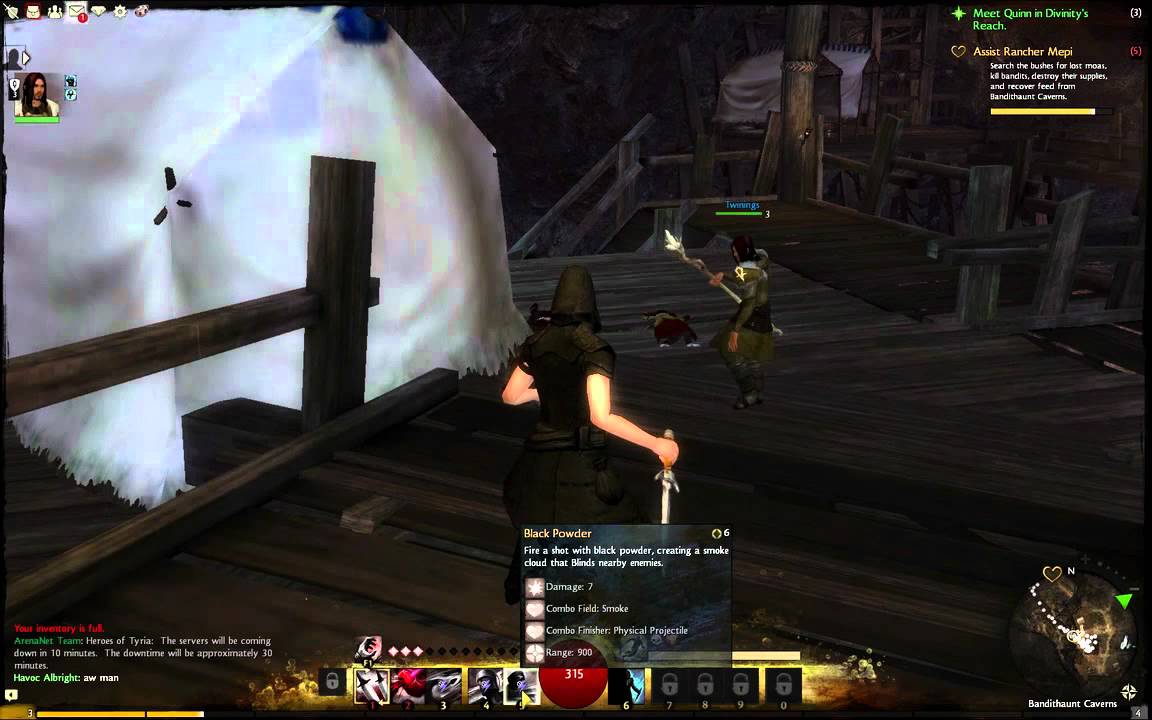 GuildWars 2 - Специальный выпуск бета-тестирования на выходные [05]