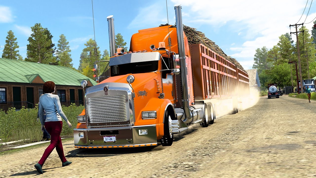 KENWORTH T800 | Se Cruza Un Peatón CARRETERAS INPOSIBLES De MEXICO