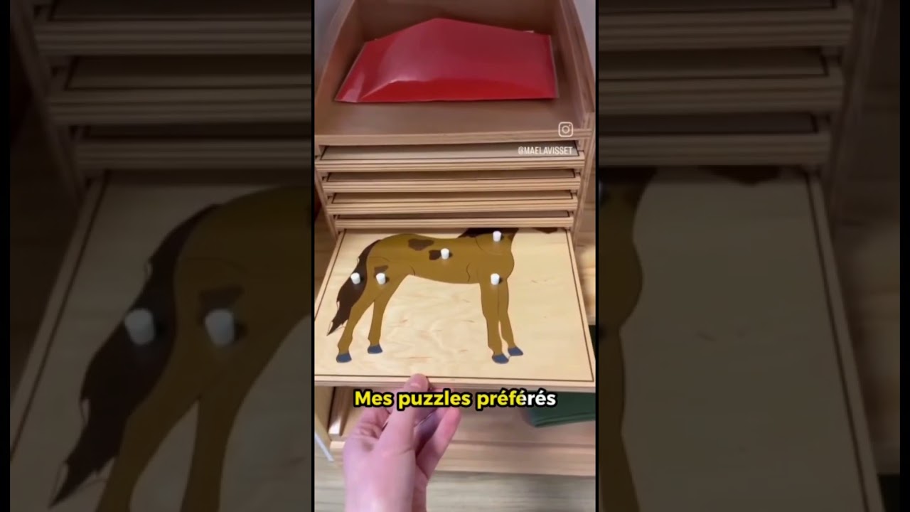 ACTIVIT&Eacute;S MONTESSORI #montessori #shorts #montessoriathome #maman #pourtoi #real #bebe