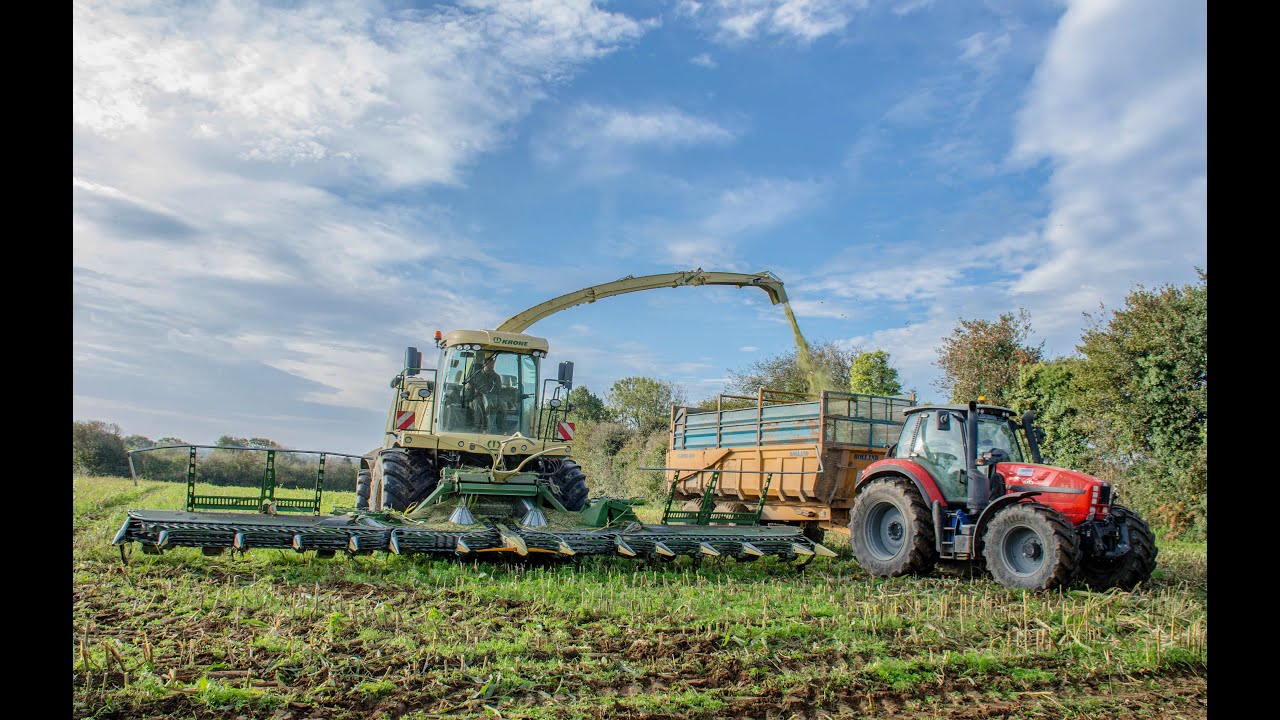 KRONE BigX 1100 14 rangs - ENSILAGE 2019 !