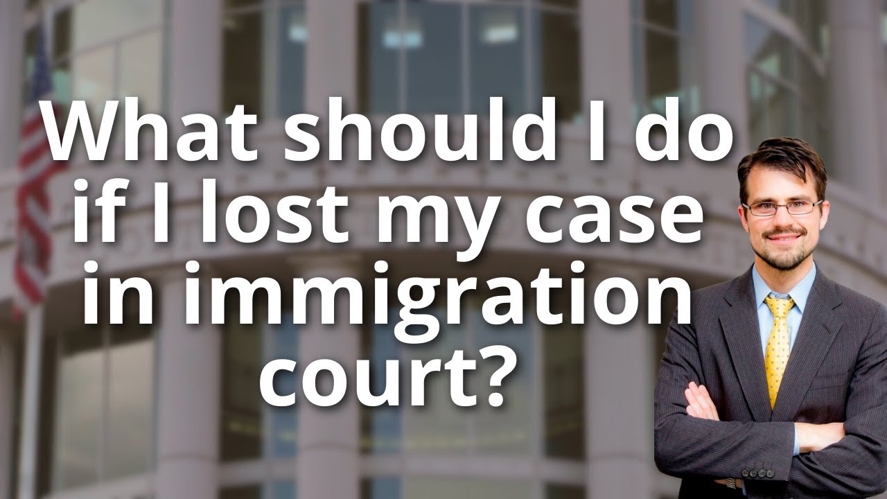What should I do if I lost my case in court?