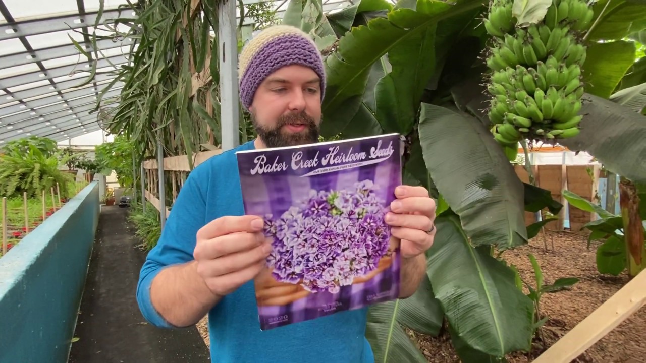 3 Seed Catalogs to help you survive the winter!