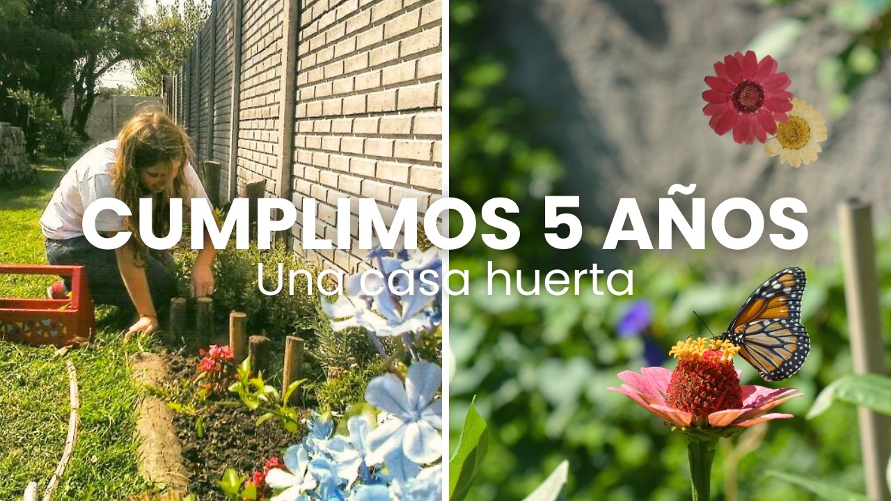 5 años de Una casa huerta: esta es la historia 💚🌻 #agroecologia
