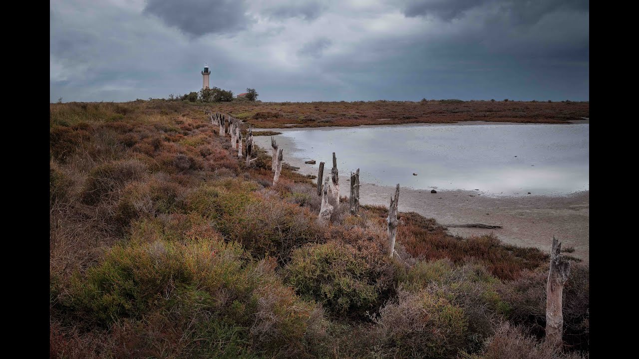 Sortie photo en Camargue
