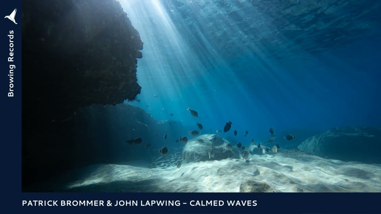 Patrick Brommer & John Lapwing - Calmed Waves (Original Mix)