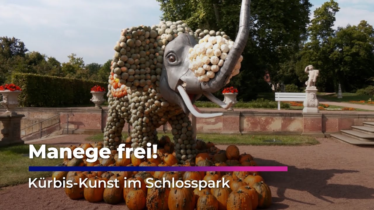 Manege frei! Kürbis-Kunst im Schlosspark