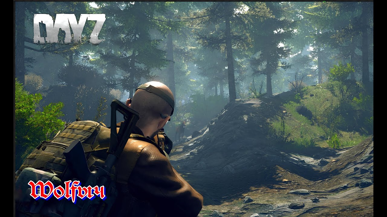 🔥ВыживальщиК 🔥Бум делать квесты ! ♥18+ #dayz #wolfыч