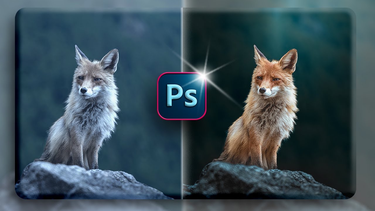 HAZ ESTO para una EDICIÓN PRO