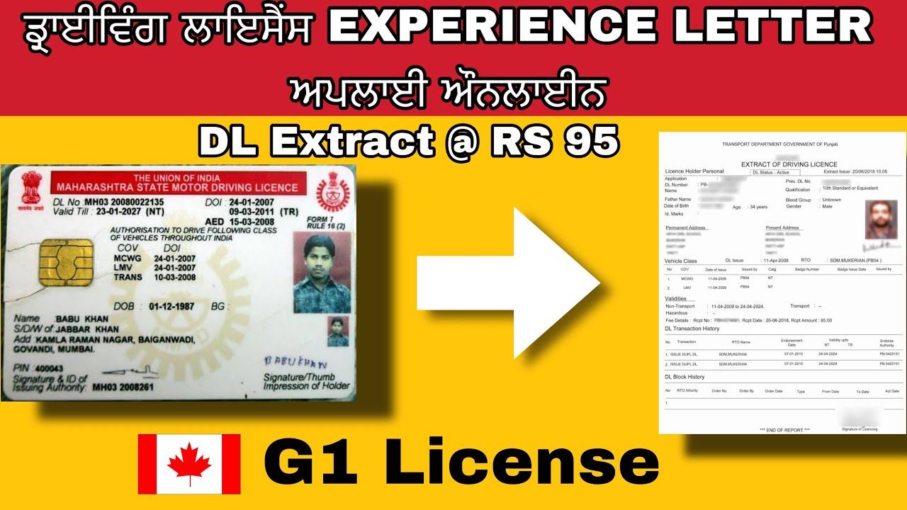 How to Apply DL extract online for G1 or G2 Canadian driving license |DL experience for Canada|