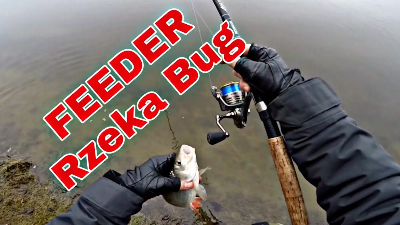 FEEDER , rzeka Bug , silne waleczne Ryby , Wędkarstwo 2020