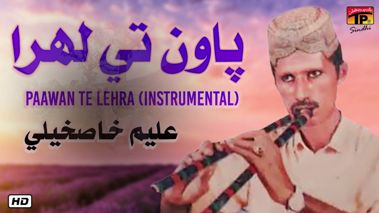 Pawan Te Lehra Instrumental | Aleem Khaskheli | TP Sindhi