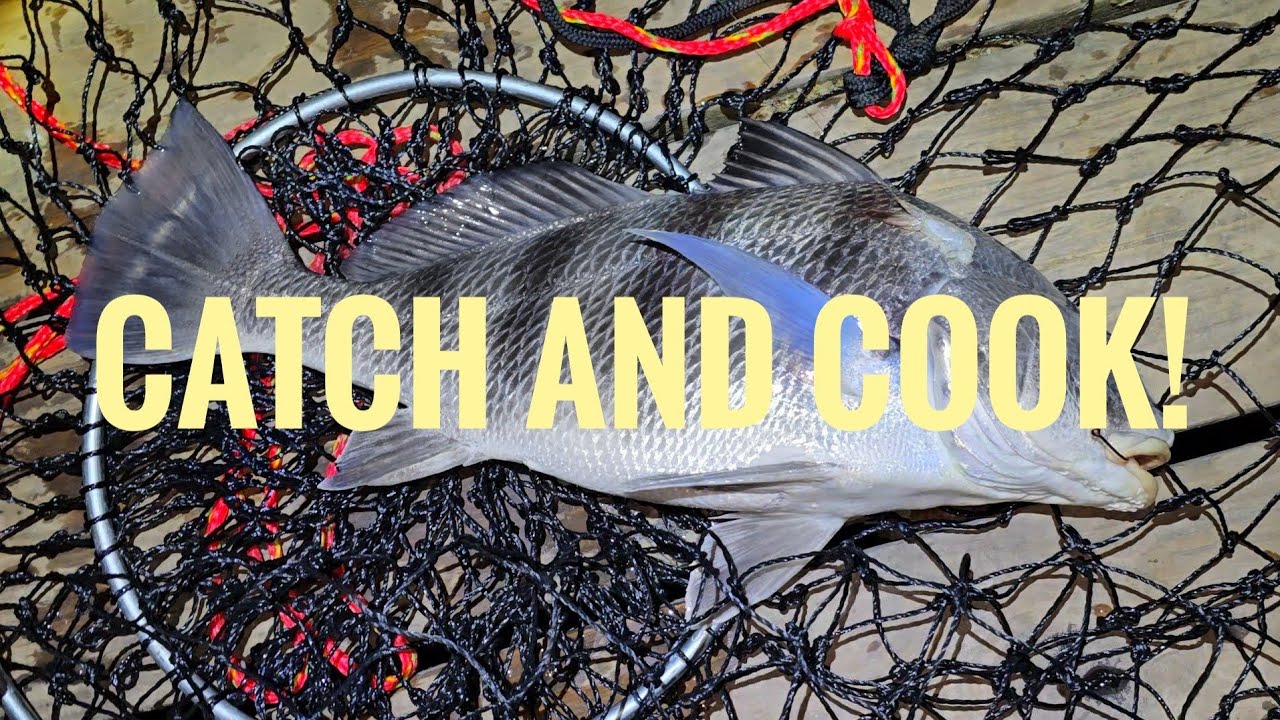 Fishing the Deep hole in Kemah! (Catch and cook!)