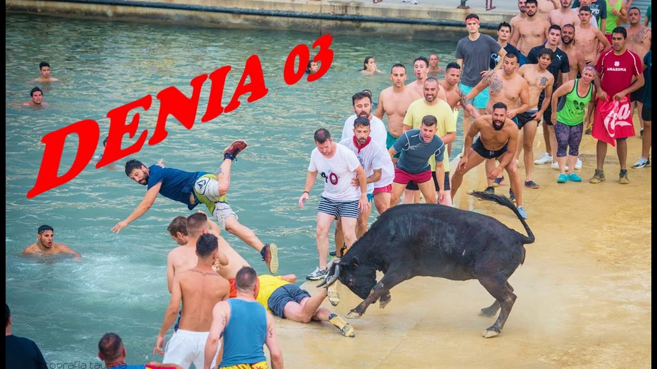 DENIA 03 Bous a la Mar  Ganadería La Paloma