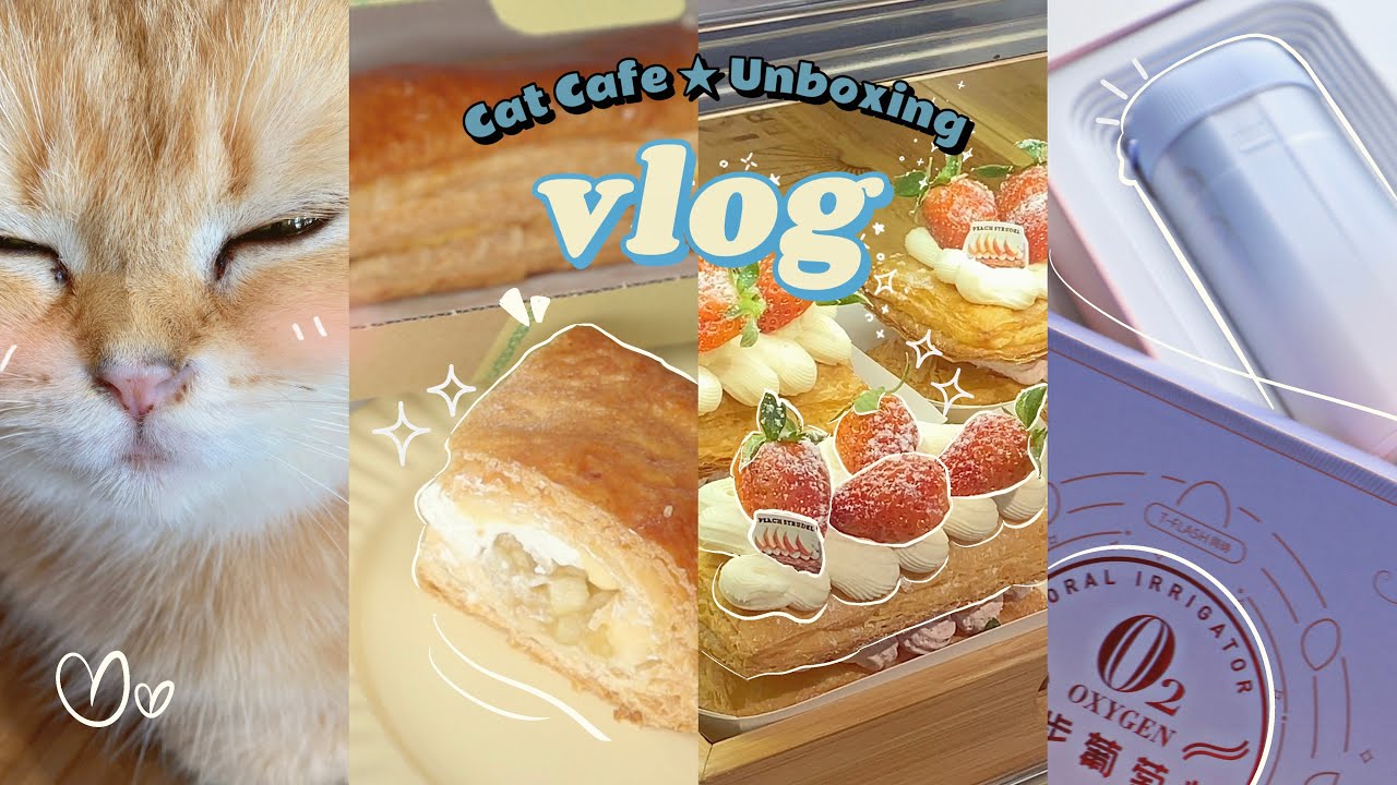 vlog | what i eat before getting braces🍜, 🐱Cat cafe, unboxing water flosser📦  | loffi snow