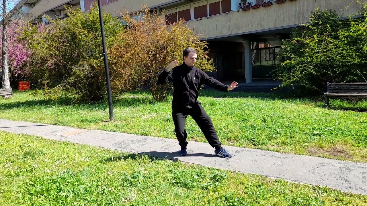 Yang Family Tai Chi traditional handform part 3- Roberto Carchio