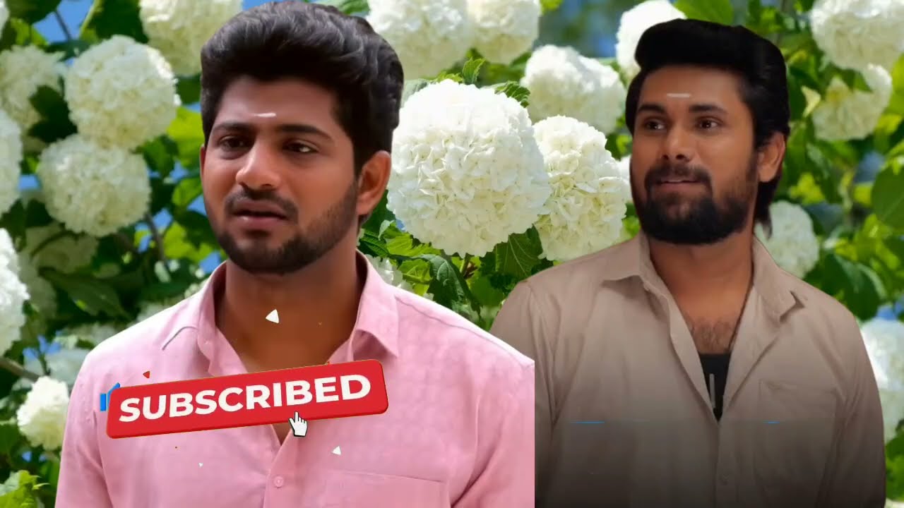 நிச்சயம் நின்ற கோபத்தில் வானதி செய்த காரியத்தால் வீட்டைவிட்டு வெளியேறும் நிலா #ayyanarthunai 