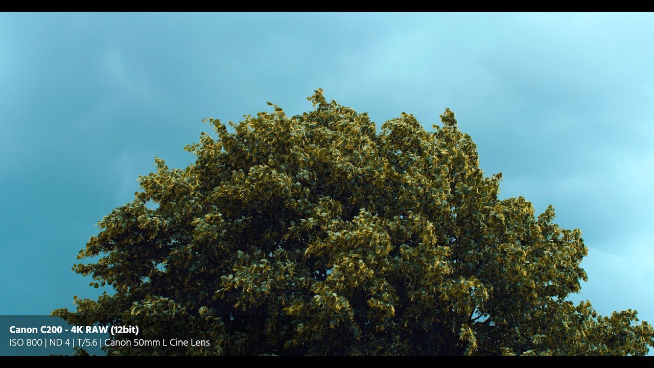 Canon C200 Review - 4K RAW Footage
