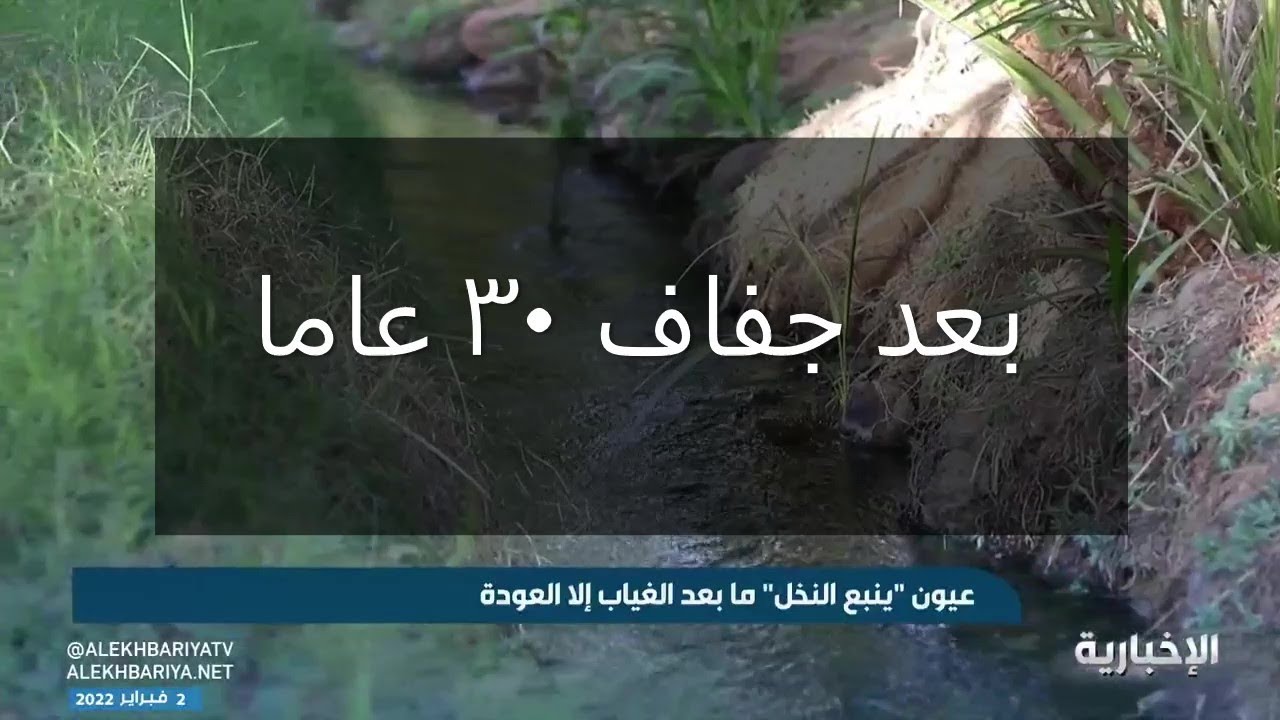 عيون #ينبع تعاود الجريان بعد جفاف 30 عاما