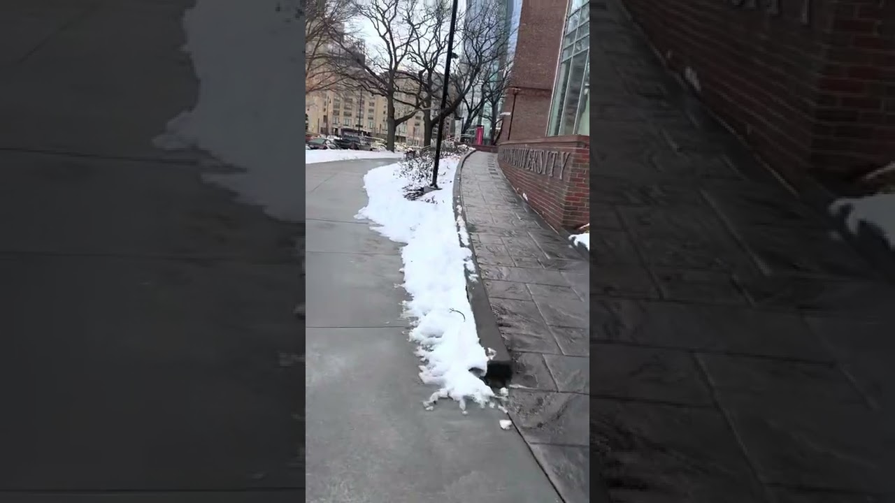 Boston University Fenway Campus