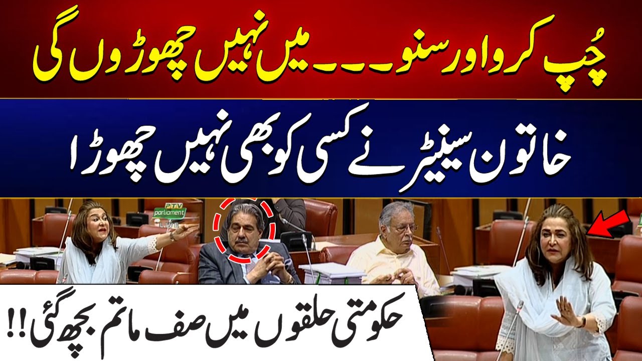 Heated Speech By PTI Leader in Senate | Senate Session 2024 | City 41