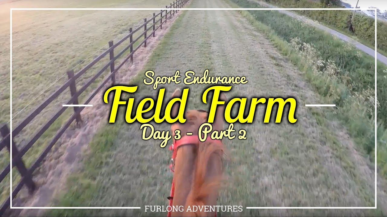 Fliss // SE Field Farm Holiday 2017 // Day 3 (Pt. 2)
