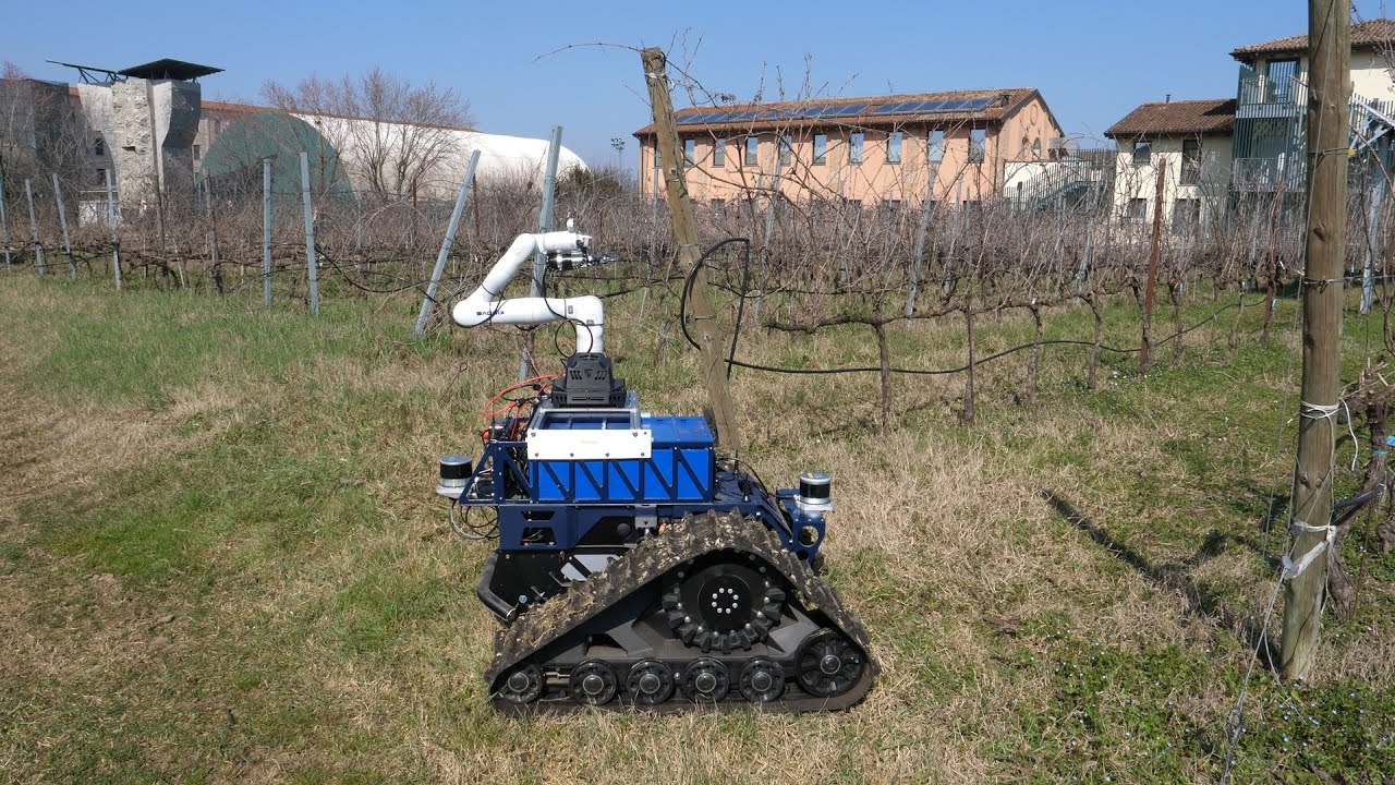 Spoke 3: potatura automatizzata della vite. Test sul campo