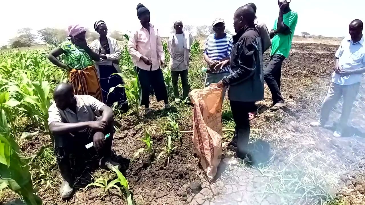Kuweka mbolea ya kukuzia