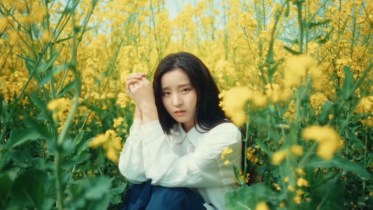 Behind the Scenes: Capturing a Spring Rapeseed Flower Short Film