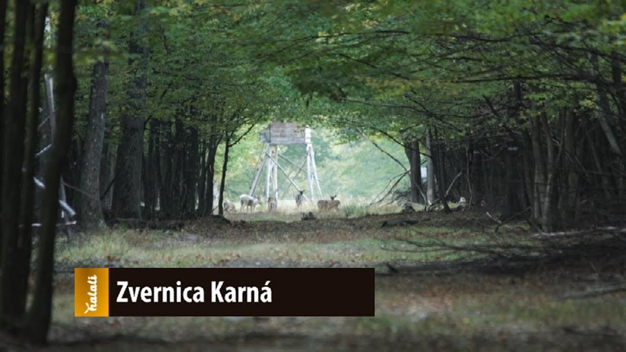 Zvernica Karná
