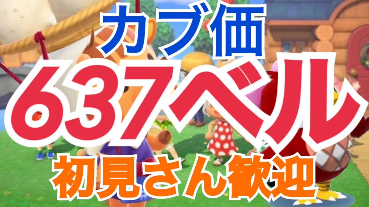 【あつ森】カブ価637ベル島ベル島など　ライブ参加型
