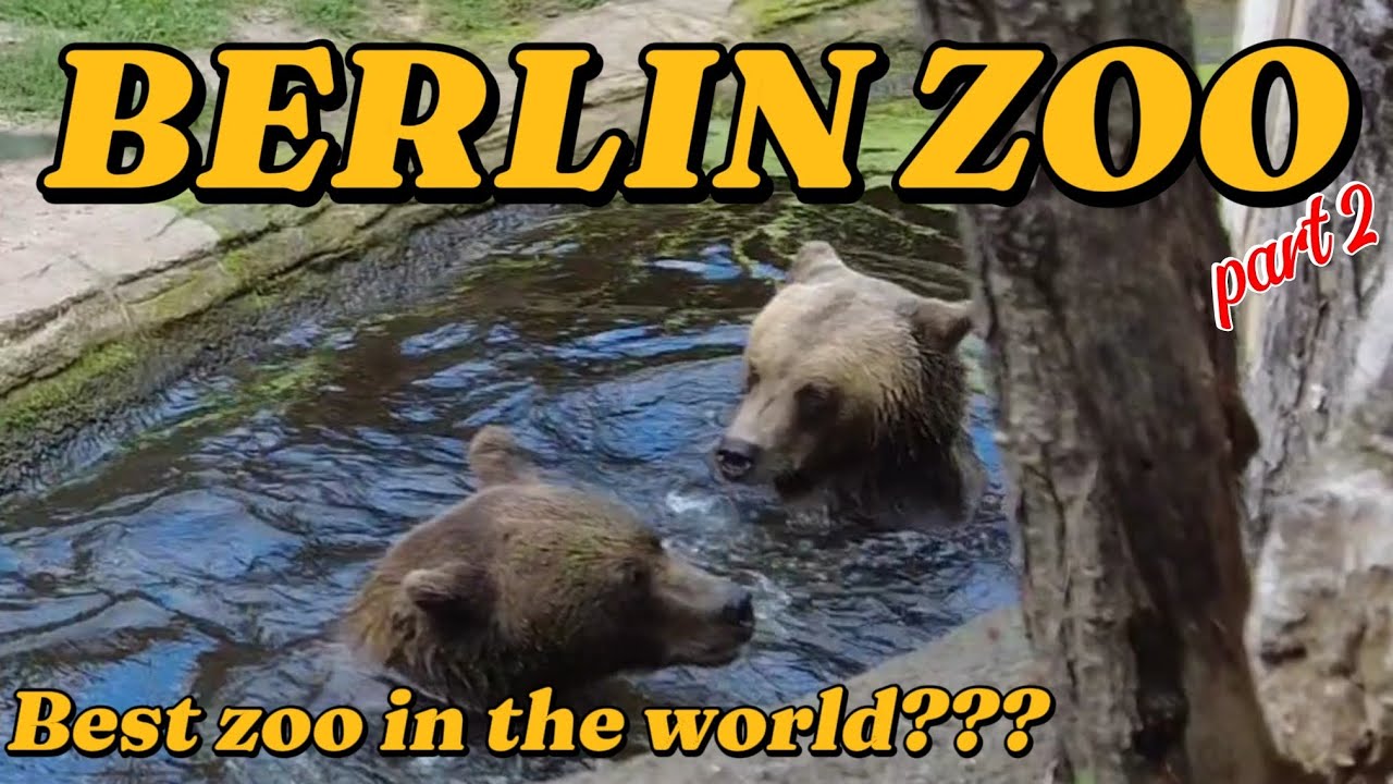 🇩🇪 BERLIN ZOO - WALKING TOUR | 4K UHD | part 2