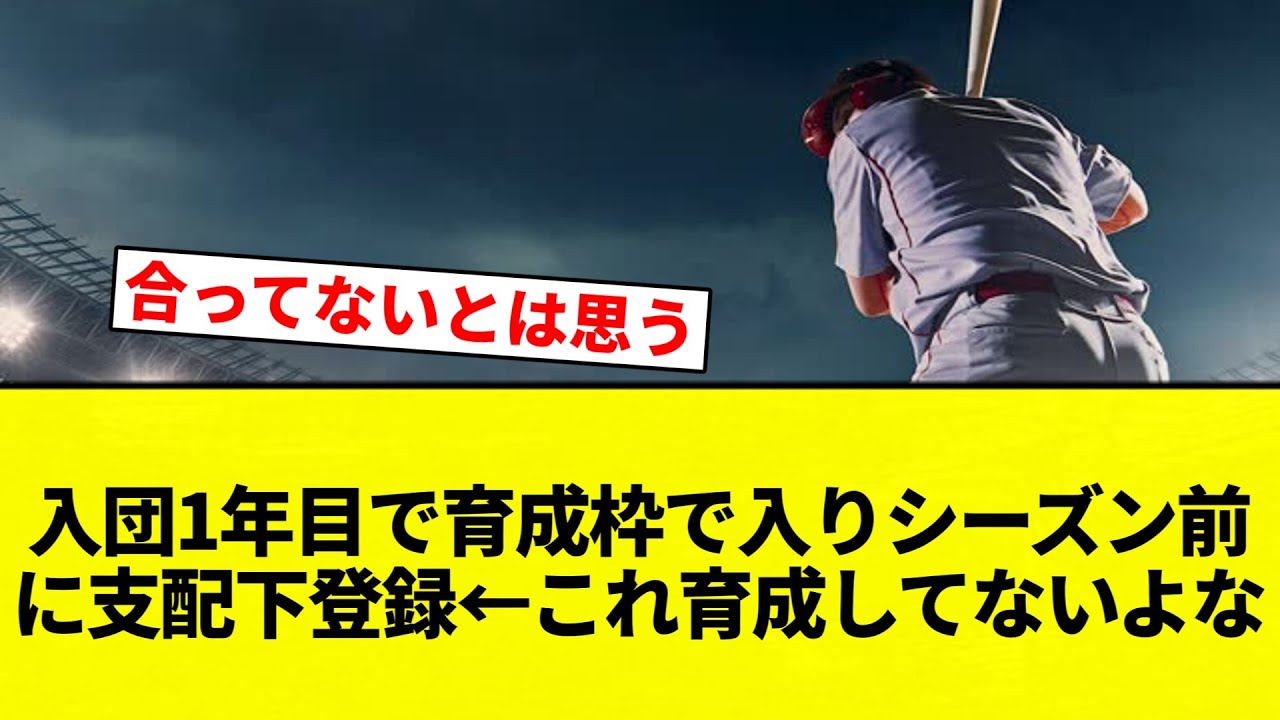 【育成 せんかったな】入団1年目で育成枠で入りシーズン前に支配下登録←これ育成してないよな【プロ野球反応集】【2chスレ】【なんG】