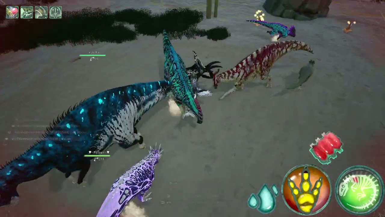 Coah Ball Event || Beasts of Bermuda