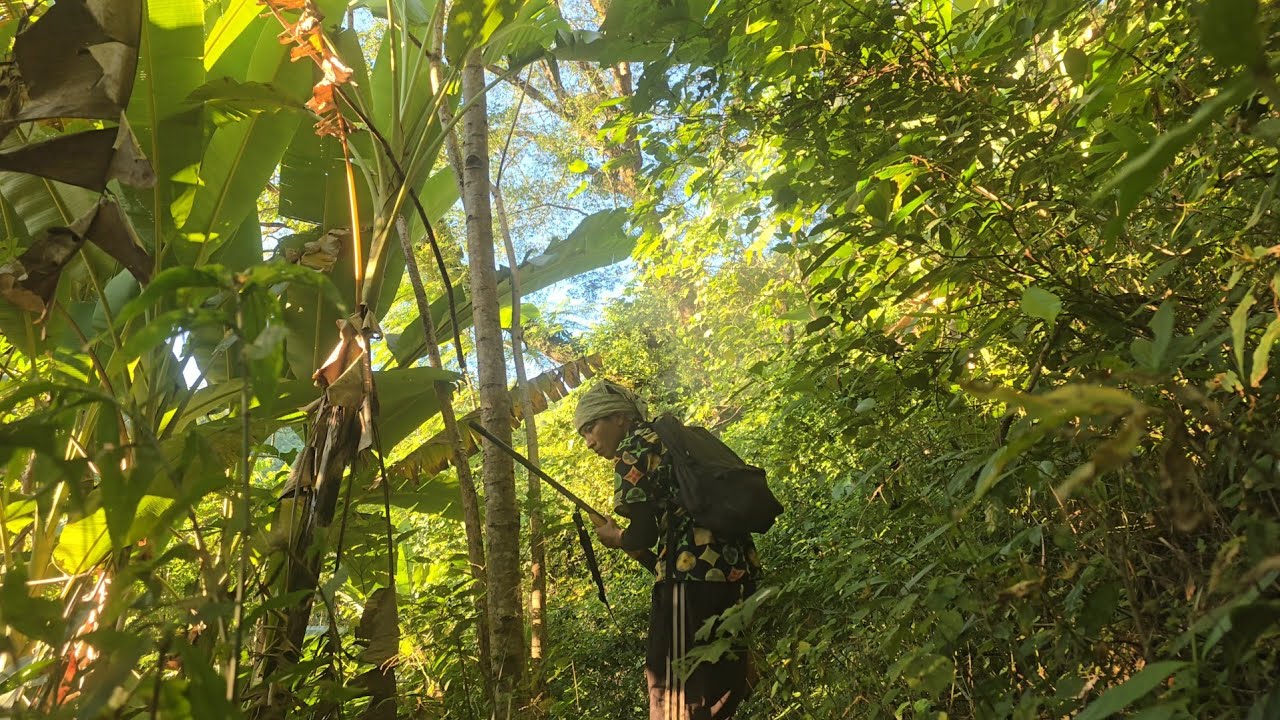 1night,  Solo Wild Chicken Hunting in wilderness @youngls