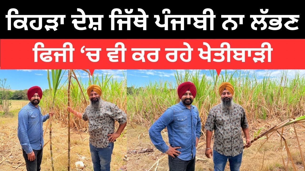 ਫਿਜੀ ਦੇ ਖੇਤਾਂ ਵਿੱਚੋਂ ਲੱਖਾਂ ਦੀ ਕਮਾਈ Farming in Fiji | Punjabi Travel Couple | Ripan Khushi