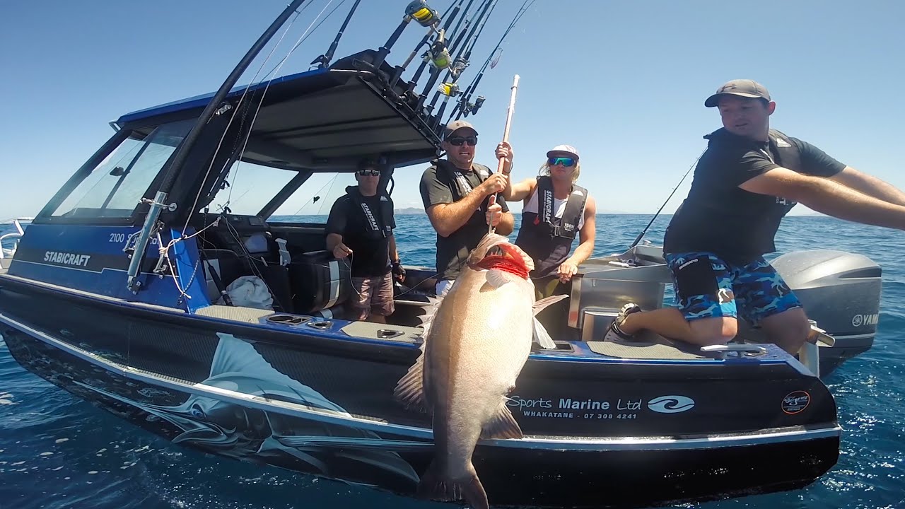 Fishing Whitianga in a Stabicraft 2100