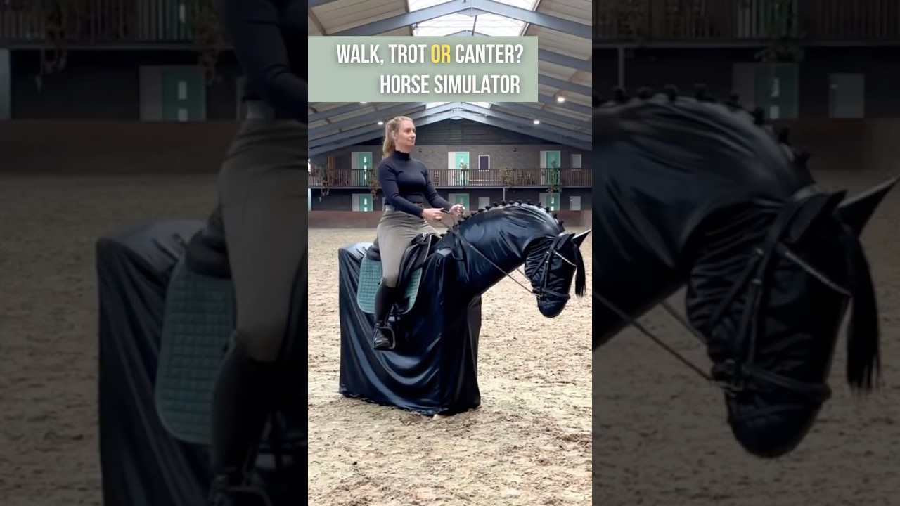 Different gaits on a Horse Simulator #horse #equestrian