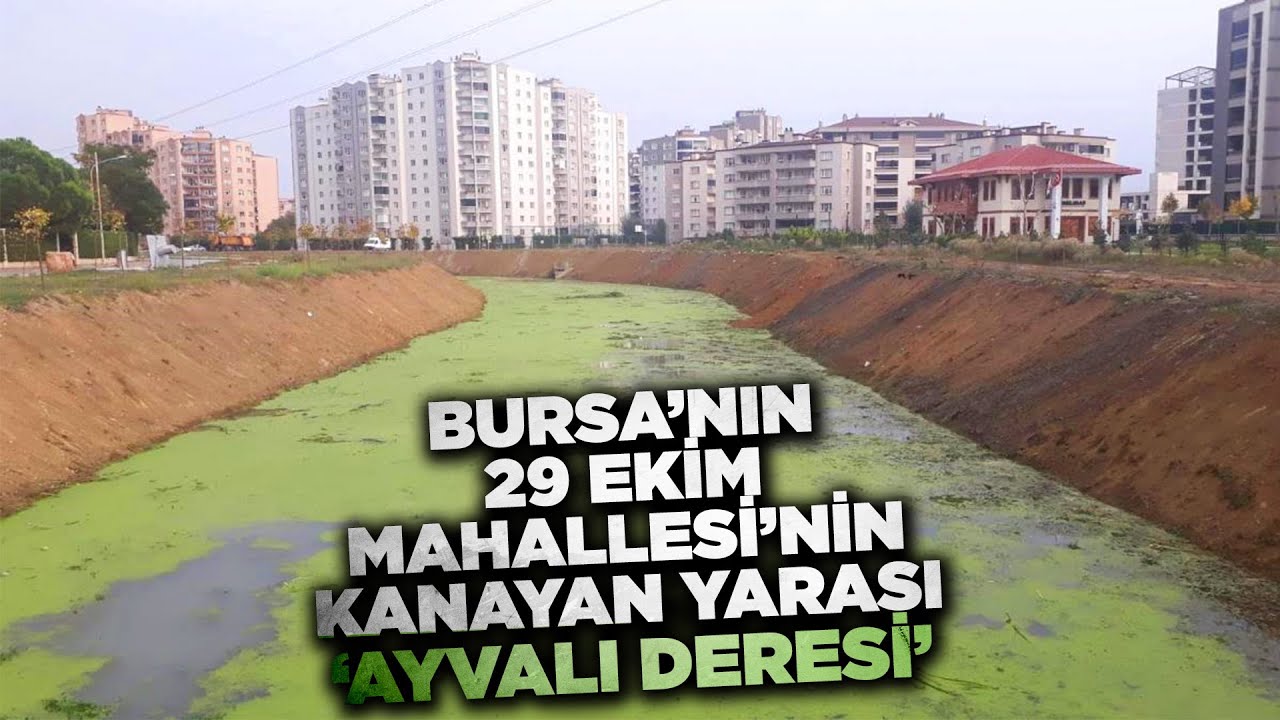 Bursa’nın 29 Ekim Mahallesi’nin kanayan yarası ‘Ayvalı Deresi’