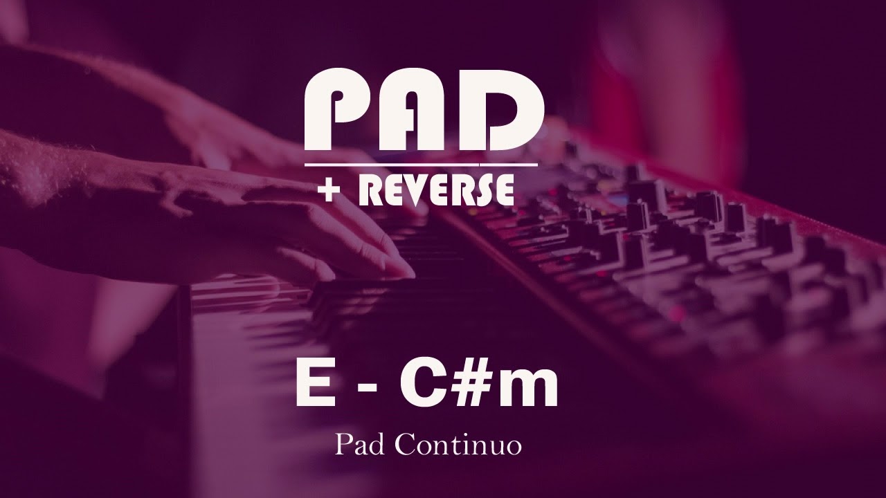 Pad + Reverse em E - C#m(Dbm) | 30 Minutos |