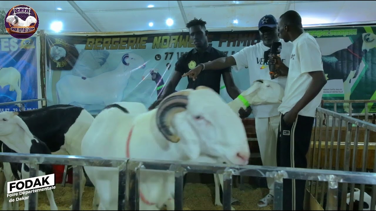 FODAK 2024 Bergerie NDAWENE Family (avec l’un des hommes les plus titrés de l’élevage)