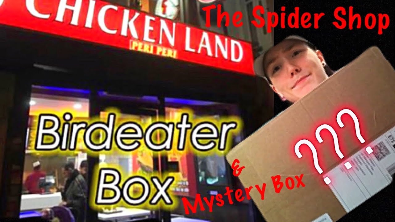 £30 Mystery Box & Bird-Eater Box from The Spider Shop!!