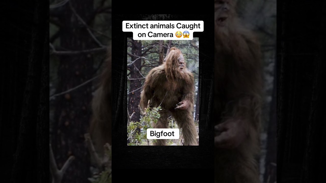 Extinct animals Caught on Camera . #scary #mystery #horror #interesting #animals #creepy #viral
